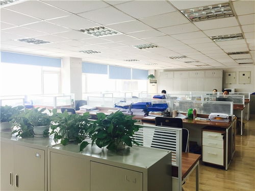 攀枝花投標(biāo)審計(jì)報(bào)告多少錢(qián)德維會(huì)計(jì)師事務(wù)所誠(chéng)信為本,簡(jiǎn)單快捷出審計(jì)報(bào)告